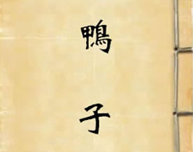 沈从文：鸭子