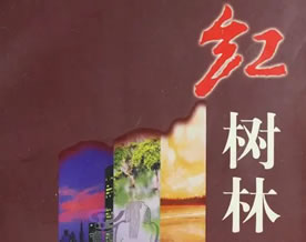 莫言：红树林