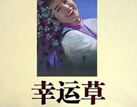 琼瑶：幸运草
