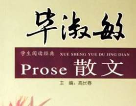 毕淑敏散文集